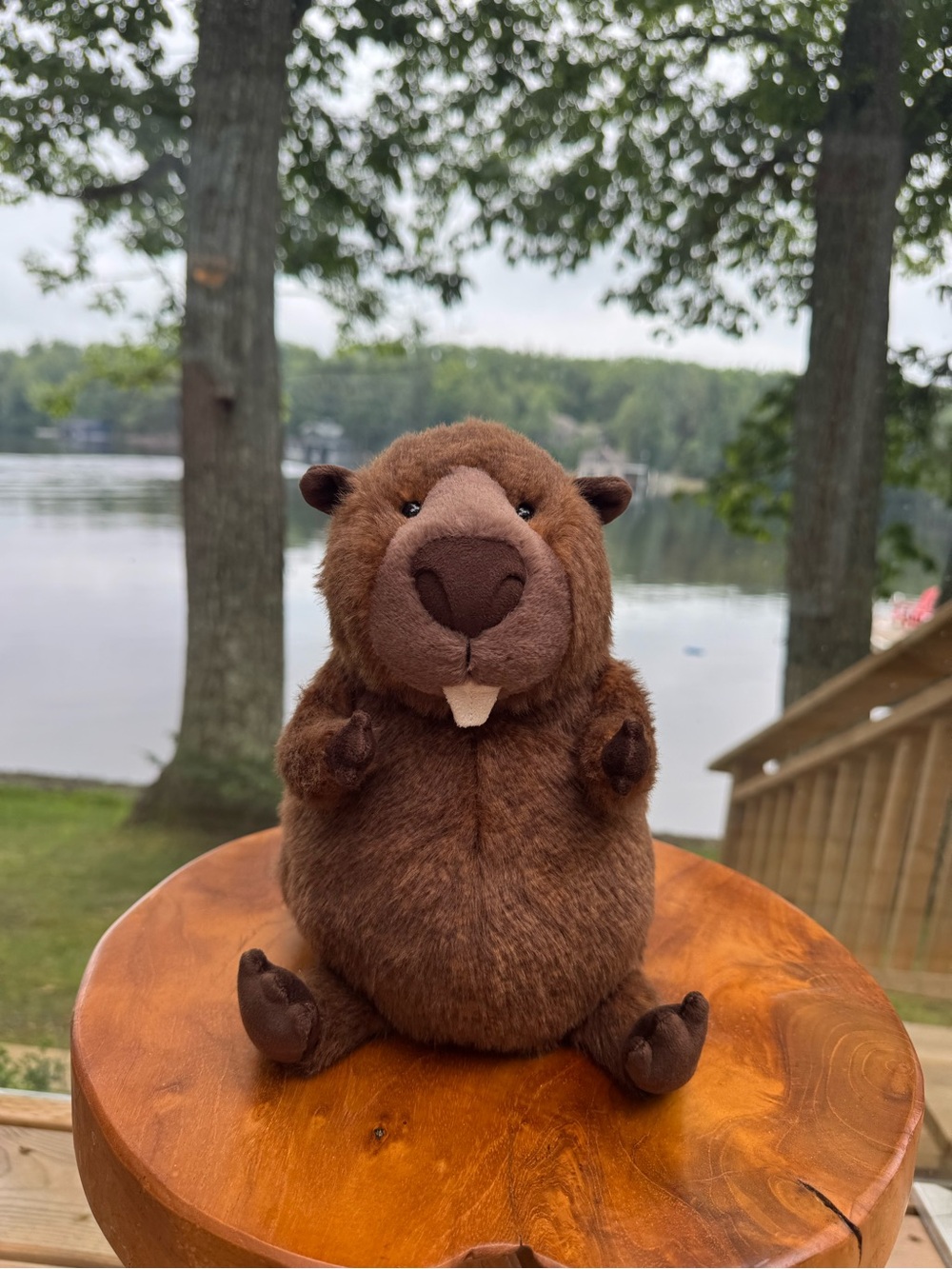 Briggs Beaver Jellycat BNWT